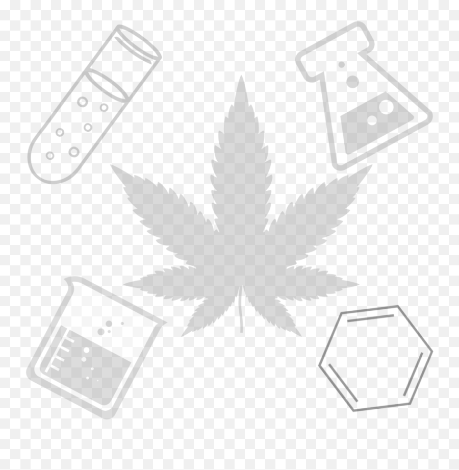 Cannabis And Cbd Beauty Review The Satori Chemist - Pot Leaf Emoji,Marijuana Leaf Transparent