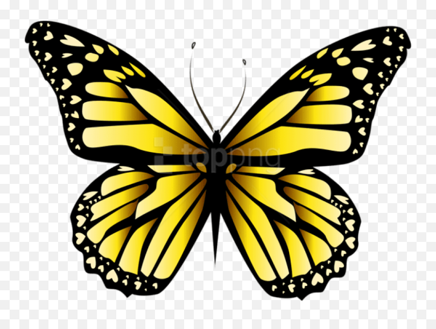 Yellow Butterfly Png Clipar Image - Butterfly Yellow Png Emoji,Butterfly Png