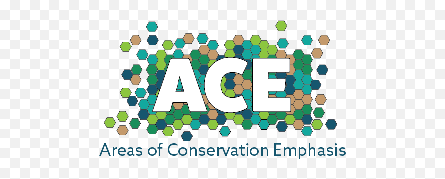Areas Of Conservation Emphasis Ace - Dot Emoji,Firefox New Logo