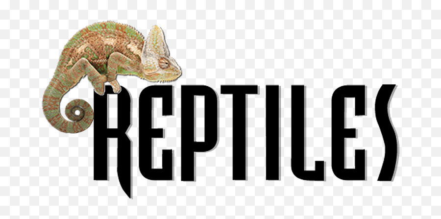 Leopard Gecko Breeding - Reptiles Magazine Emoji,Leopard Gecko Png