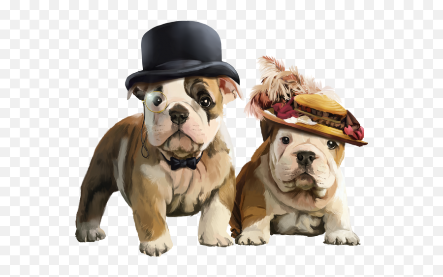 Pin By Peltiez On Gardening Victorian Bulldog Cute Dogs Emoji,English Bulldog Clipart