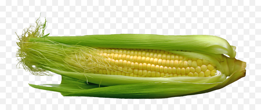 Download Corn Png Image For Free - Corn On The Cob Emoji,Corn Png