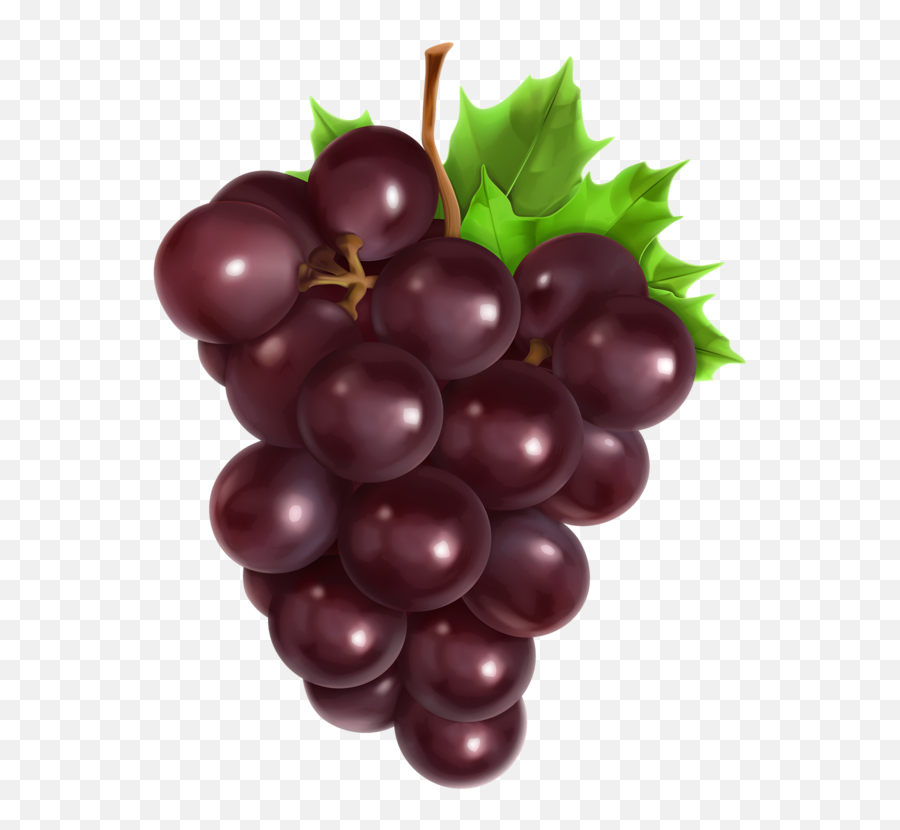 Download Hd Food Clipart Clipart Images Vector - Grape Clipart Png Emoji,Food Clipart