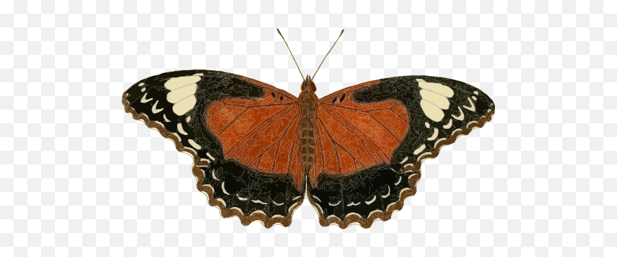 Free Clip Art Atlas Moth - Attacus Atlas By Borboletaorg Insectos Png Emoji,Moth Clipart