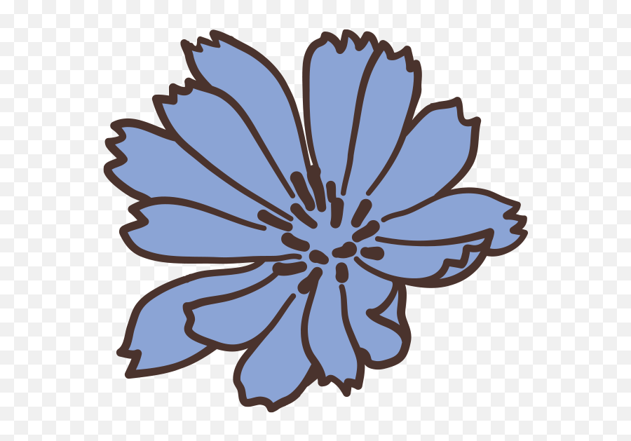 Find Us U2014 Looking Meadow Coffee Co Emoji,Blue Flower Png