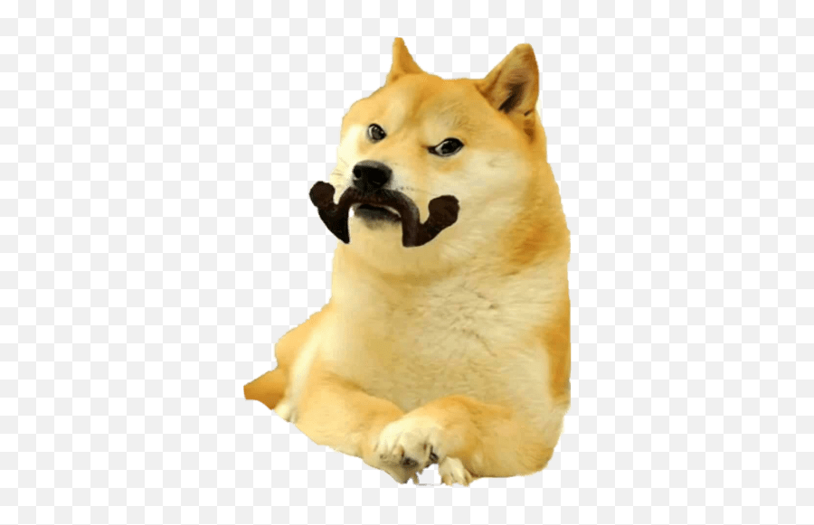 Doge - Doge Laughing Emoji,Doge Png
