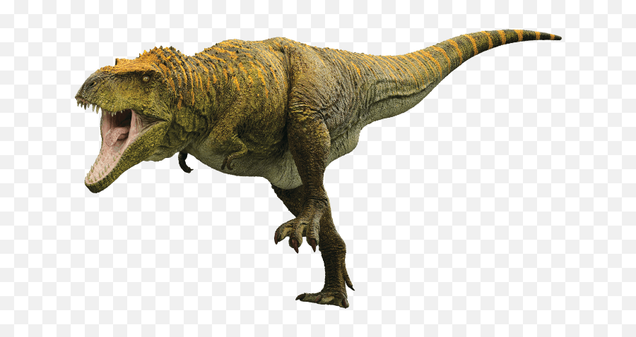 Tyrannosaurus Rex Dinopedia - The Dino Dan Wiki Fandom Emoji,Trex Clipart Black And White