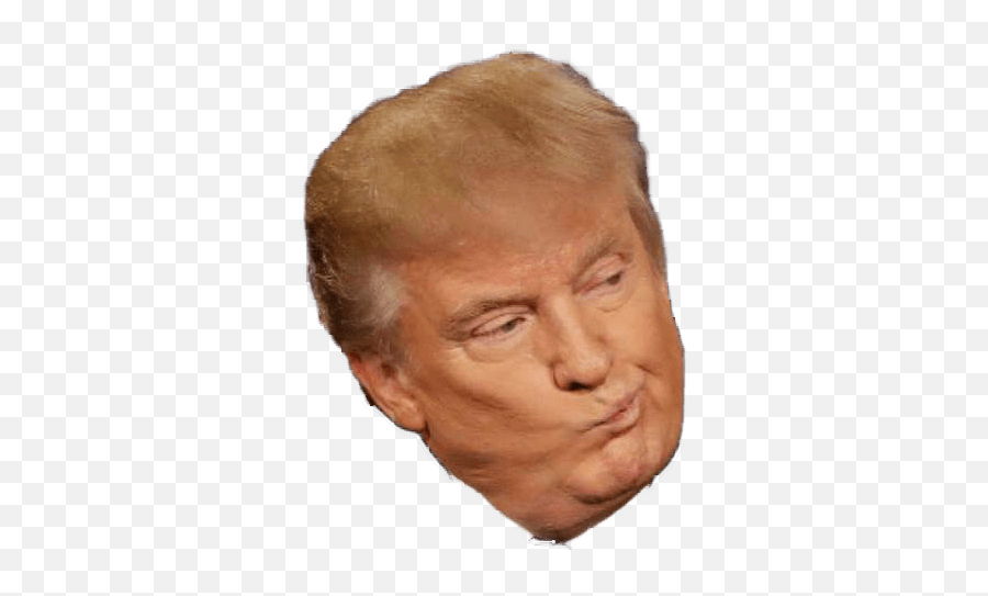 Trump Head Png U0026 Free Trump Headpng Transparent Images - Transparent Donald Trump Head Png Emoji,Trump Clipart