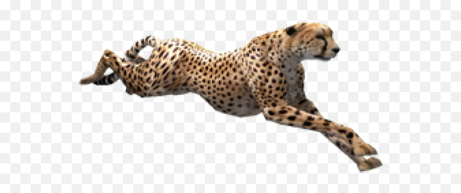 Cheetah Png Logo Png Vector Stock - Running Cheetah Png Emoji,Cheetah Logo