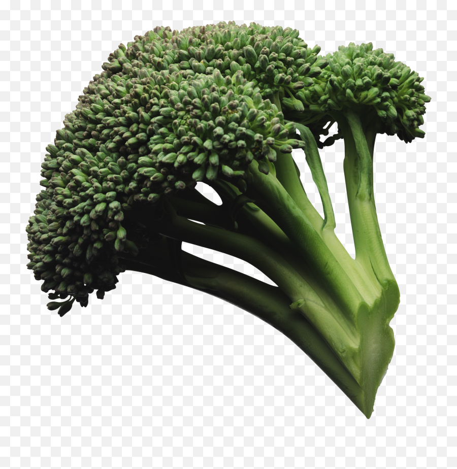 Broccoli Png Transparent Images - Transparent Background Steamed Broccoli Png Emoji,Broccoli Clipart