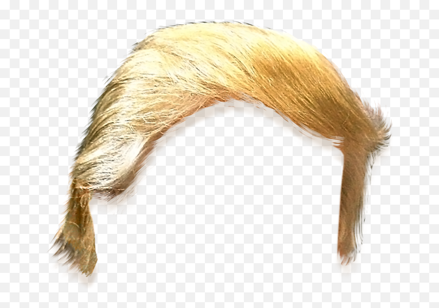 Download Hd Haircut Clipart Trump - Trump Hair Png Trumps Hair Png Emoji,Trump Clipart