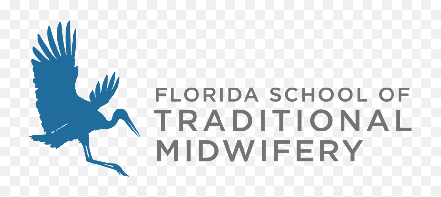 Partnership U2013 Healthy Start Of North Central Florida Coalition - Florida School Of Traditional Midwifery Emoji,Uf Logo