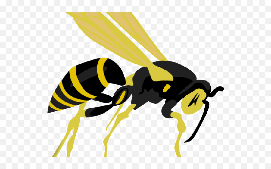 Hornet Clipart Logo Picture 1362240 Hornet Clipart Logo - Wasp Vector Emoji,Hornet Logo