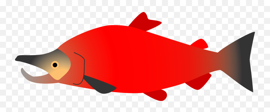 Sockeye Salmon Clipart - Fish Emoji,Salmon Clipart