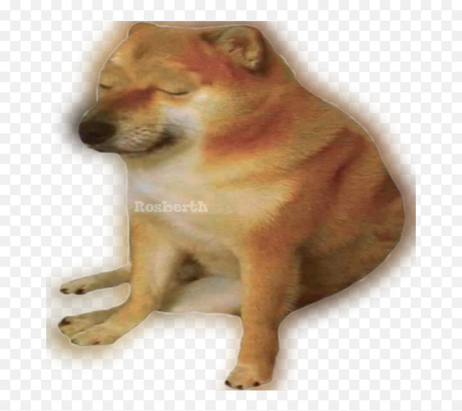 Sad Doge Meme Png U2013 Gimanalifcoid - Sad Cheems Meme Png Emoji,Doge Png