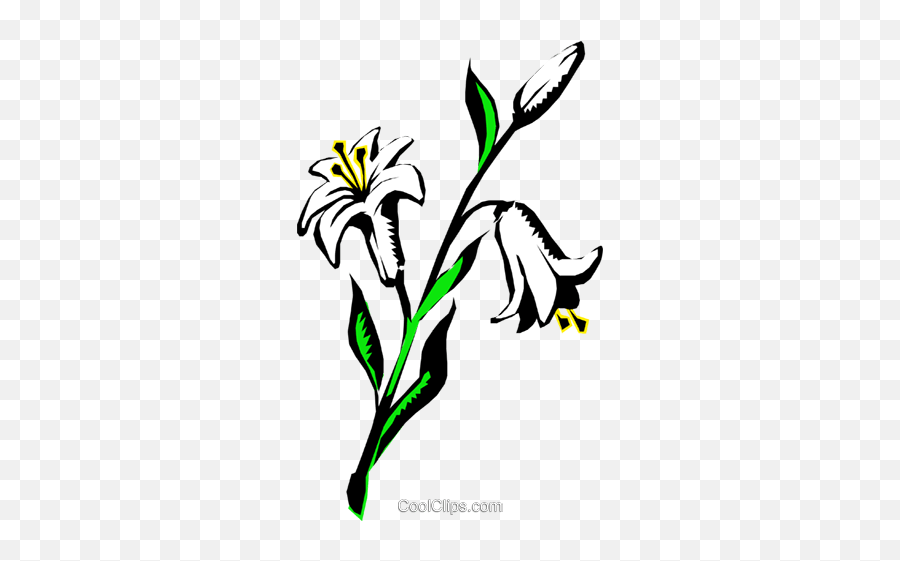 Lilies Royalty Free Vector Clip Art Illustration - Natu0225 Emoji,Lilies Clipart