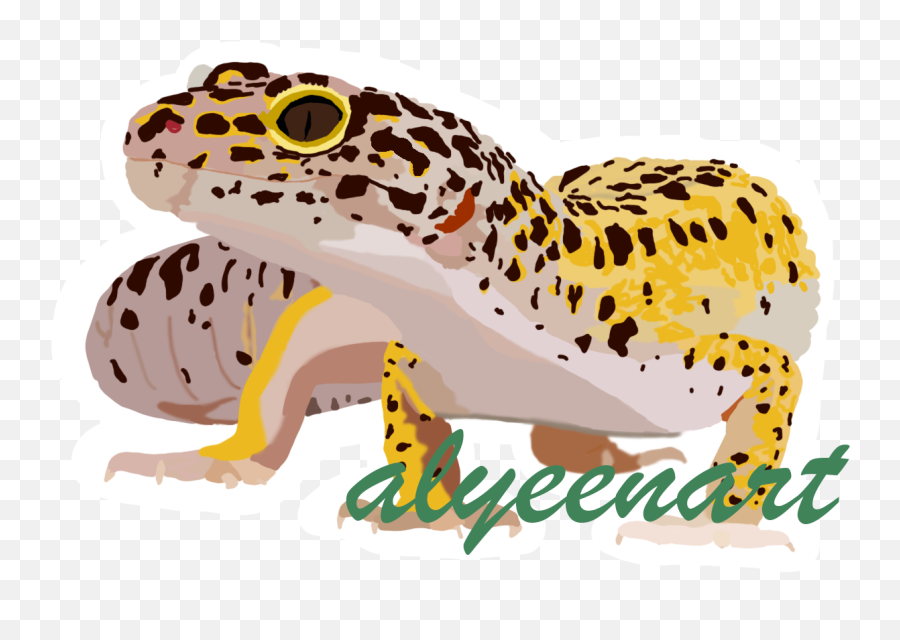 Leopard Gecko - Album On Imgur Emoji,Leopard Gecko Png