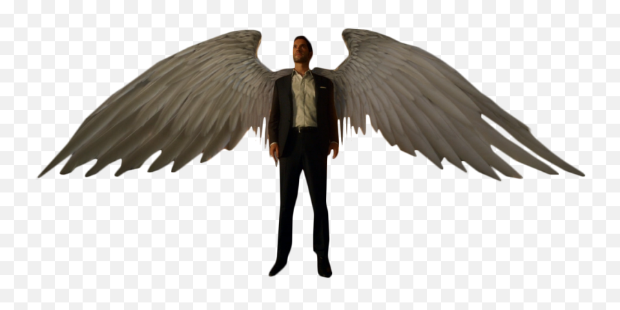 With Wings Png Image - Transparent Lucifer Png Emoji,Wings Png