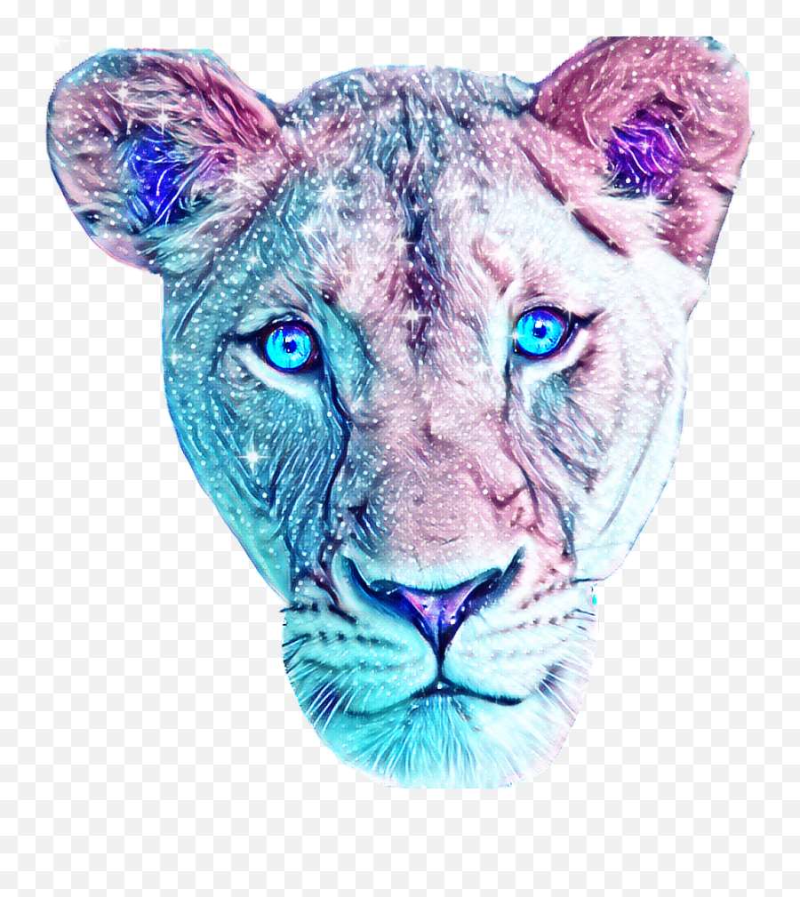 Galaxy Lion Lioness Pretty Sparkle Sticker By Rita V - Transparent Transparent Background Lioness Png Emoji,Lioness Png