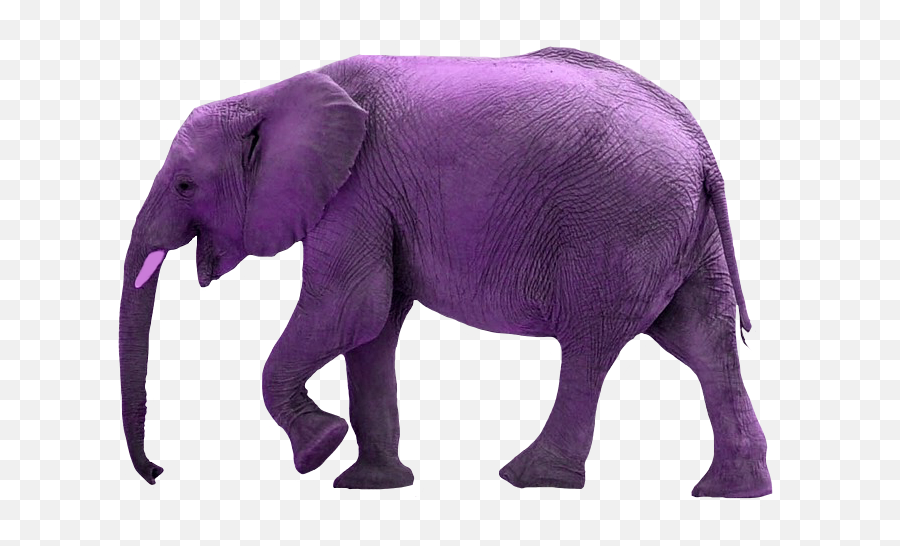 Ftestickers Purple Elephant Animal - Elephant Silhouette Png Small Elephant Png Emoji,Elephant Silhouette Clipart
