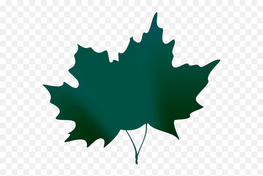 Autumn Leaf Png Hd Images Stickers Vectors - Maple Leaf Cartoon Png Emoji,Fall Leaves Transparent Background