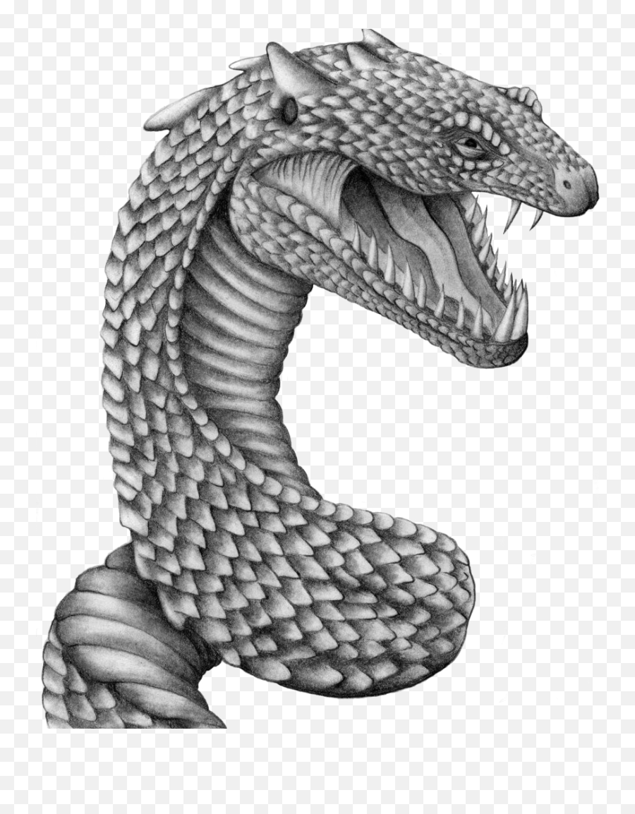 White Snake Png - Basilisk Snake Png Download Image Harry Magical Creatures Harry Potter Drawings Emoji,Harry Potter Clipart Black And White