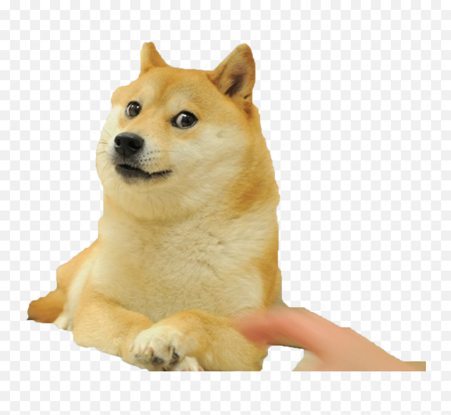 Mlg Doge - Wow Such Doge Wow Such Doge Wow Such Doge Dababy Ironic Meme Emoji,Doge Png