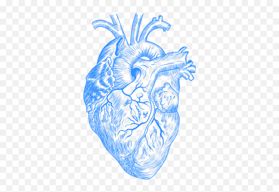 Is More Medical Testing Better U2014 The New Atlantis Emoji,Realistic Heart Clipart