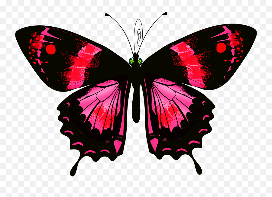 Luna Moth Clipart Transparent - Schmetterling Auf Transparenter Hintergrund Transparente Cliparts Emoji,Luna Transparent