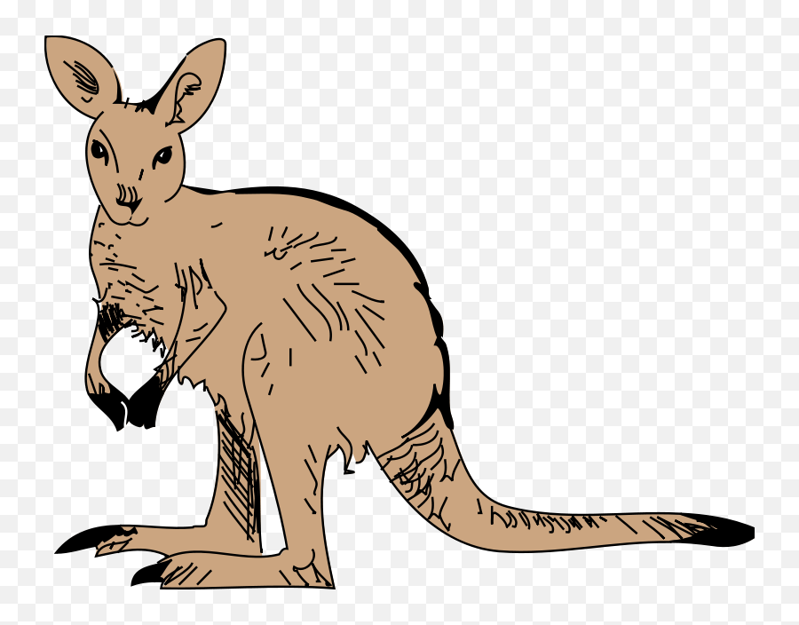 Kangaroo Clipart Free Clip Art - Clipart Zoo Animals Emoji,Kangaroo Clipart