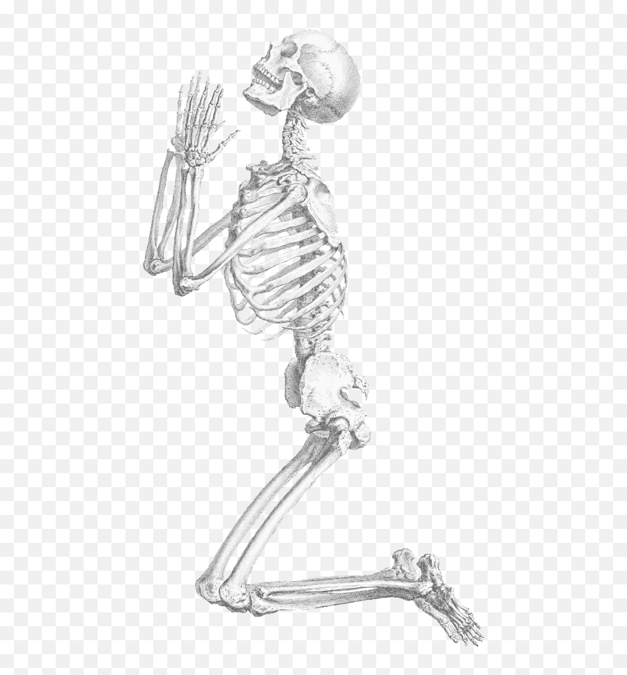 Skeleton Transparent Background U0026 Free Skeleton Transparent Emoji,Dancing Skeleton Png
