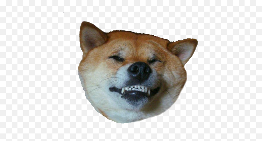 Doge Head Png All - Head Shiba Inu Transparent Emoji,Doge Png
