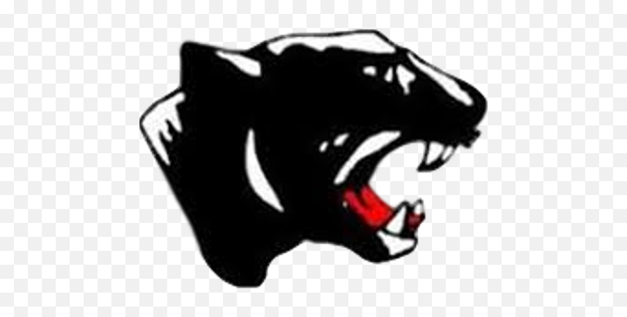 Schuylkill Valley High School Emoji,Black Panthers Logo