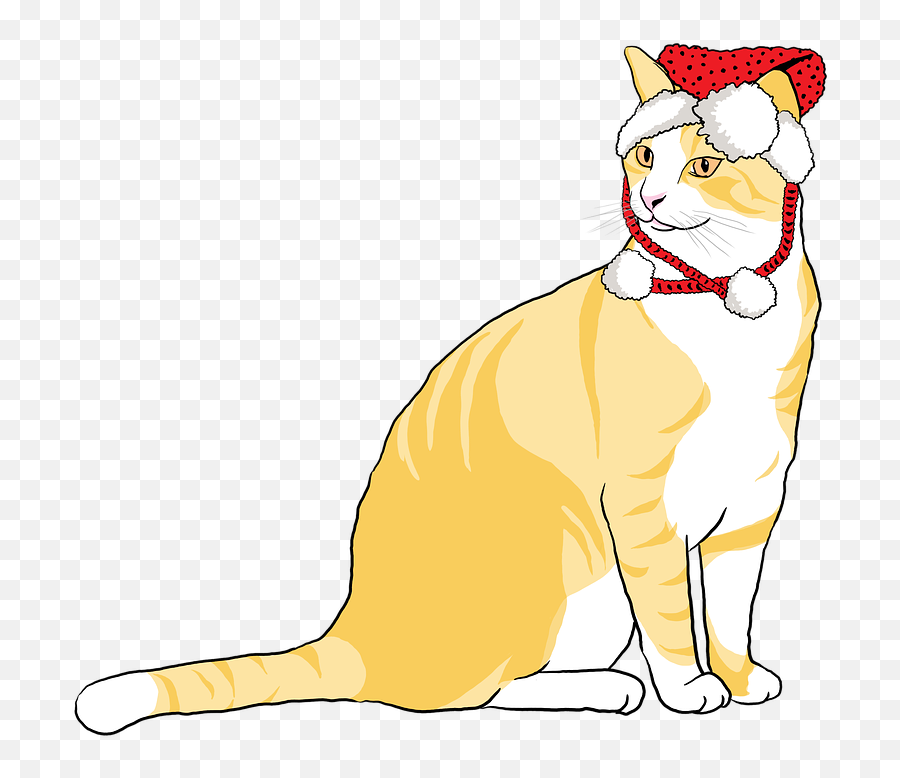 Cat In Santa Hat Clipart - Cat Apparel Emoji,Cat In The Hat Clipart