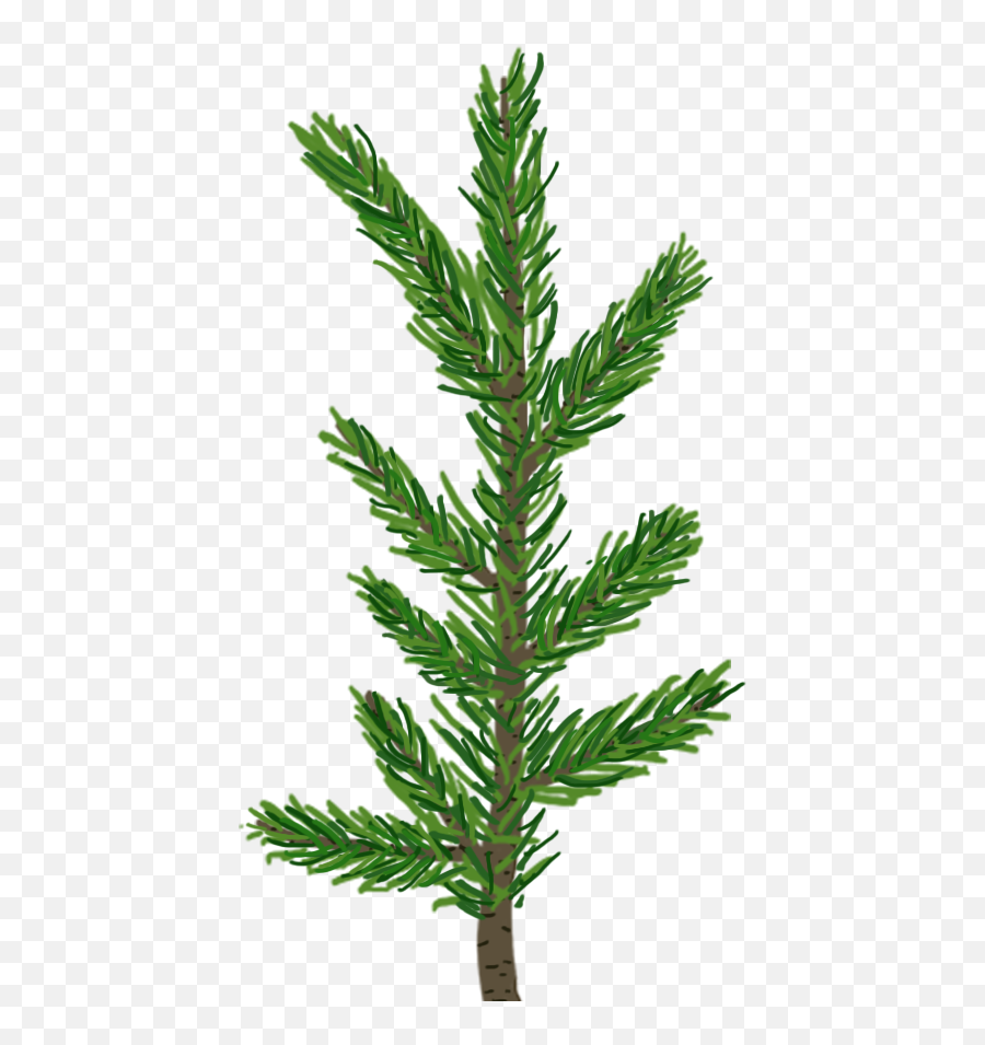 Pine Leaf Png - Pine Tree Leaf Transparent Full Size Png Transparent Pine Tree Leaf Texture Emoji,Leaf Transparent