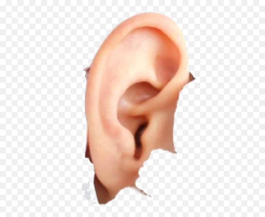 Ear Png - Paul Über Peter Sagt Emoji,Ear Png