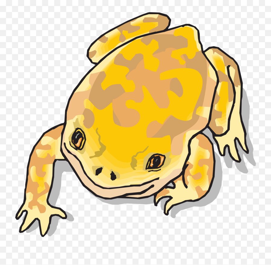 Clipart Of Yellow Frog From The Rainforest Free Image Download - Cartoon Yellow Frog Clipart Emoji,Rainforest Clipart