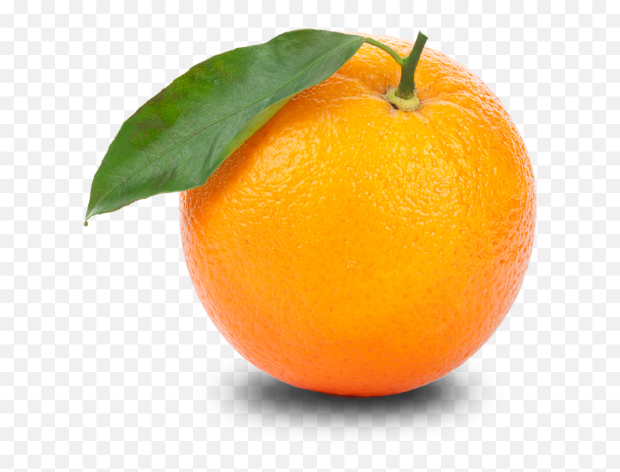 Free Orange Clipart Png Download Free - Transparent Orange Emoji,Orange Clipart