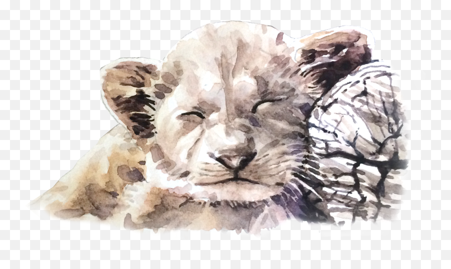 Watercolor Paint Transparent Png - Asiatic Lion Emoji,Watercolor Transparent Background