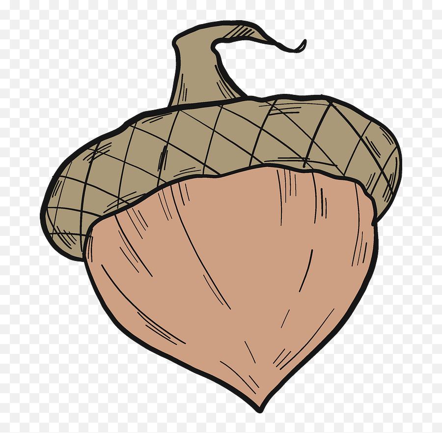 Acorn Clipart Free Download Transparent Png Creazilla - Fresh Emoji,Acorn Clipart