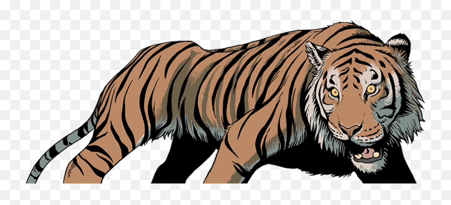 Clipart Tiger Wild Animals - Tiger Png Download Full Tiger Clip Art Wild Animals Emoji,Tiger Png