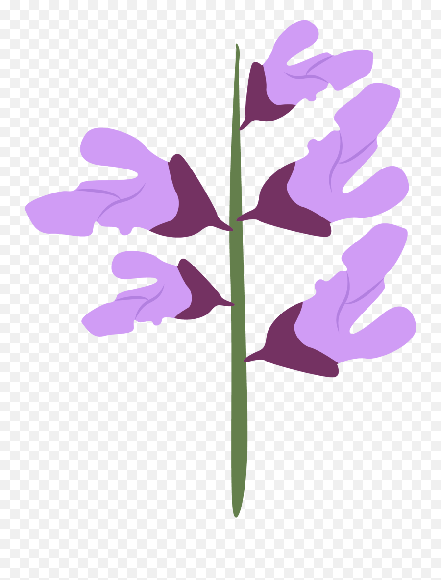 Sage Flower Graphic Emoji,Sage Clipart
