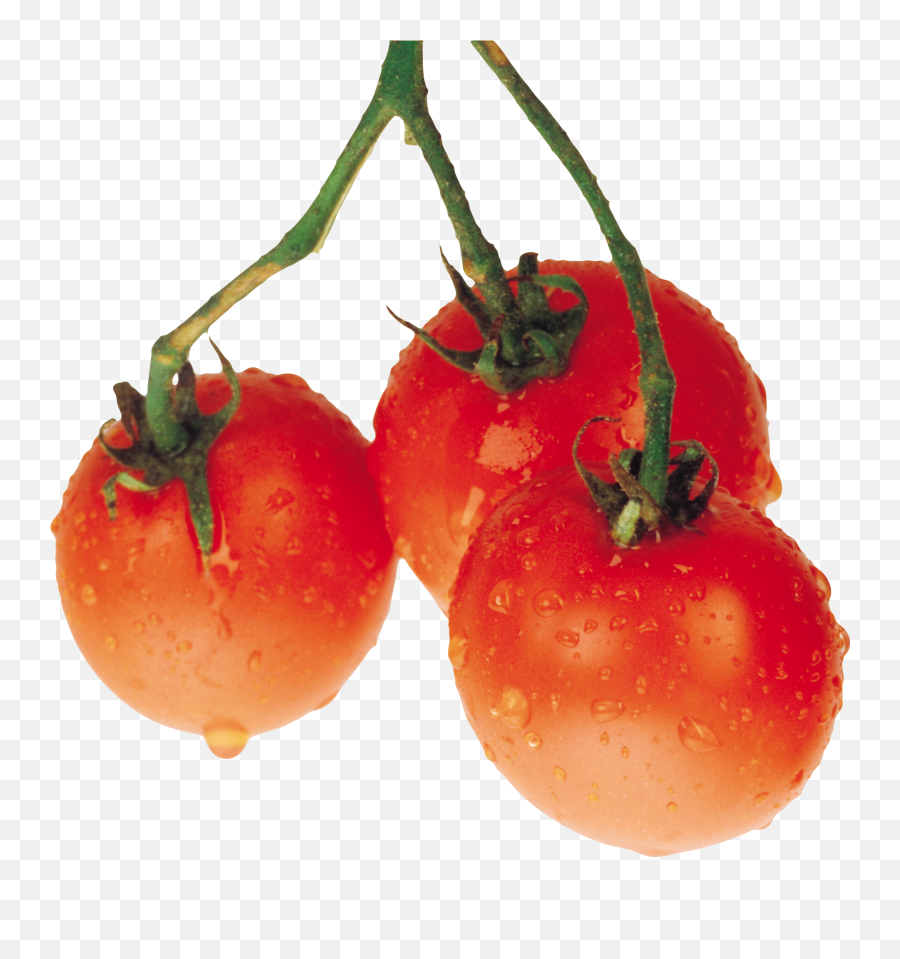 Tomatoes Png - Tomato Emoji,Tomato Clipart