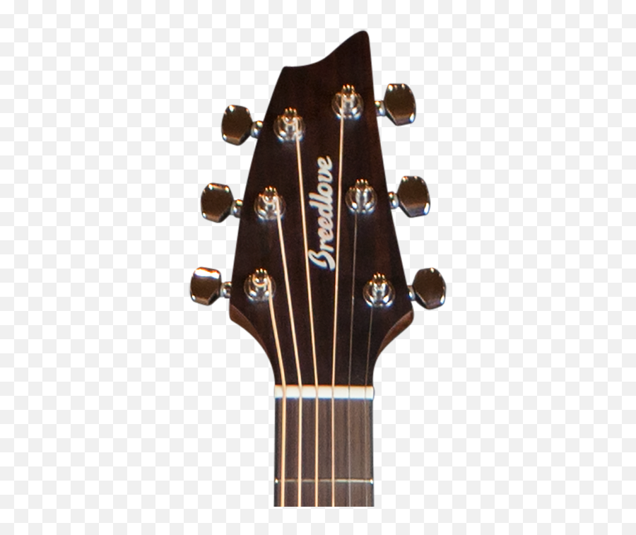 Acoustic Guitar Acoustic - Electric Guitar Breedlove Guitars Emoji,Acoustic Guitar Clipart