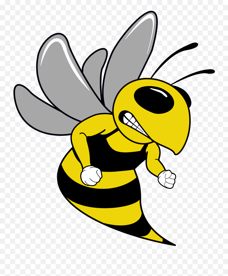 Hornet Mascot Clipart Free Download Transparent Png Emoji,Hornets Clipart
