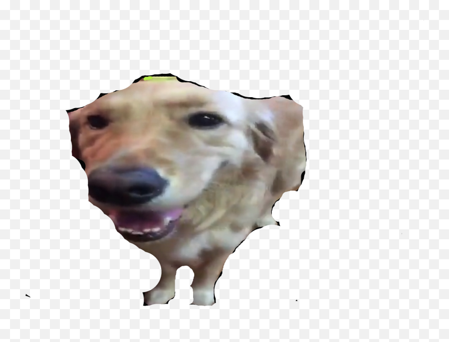 Le Butter Has Arrived Again Rdogelore Ironic Doge Emoji,Dog Png Transparent