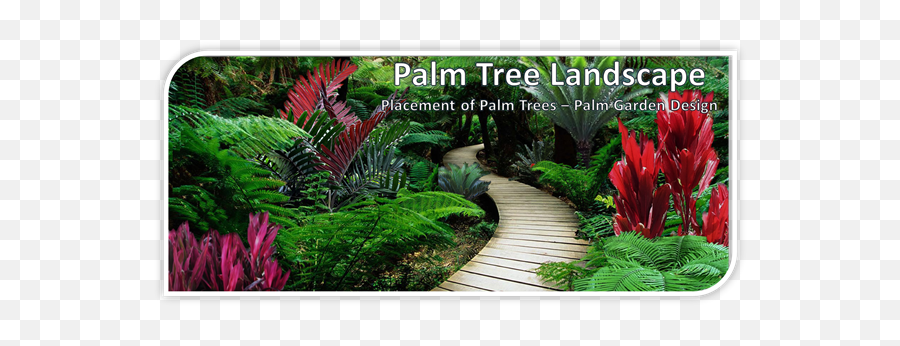 Palm Tree Landscape - Placement Of Palms Palm Garden Design Emoji,Two Palm Trees Logo