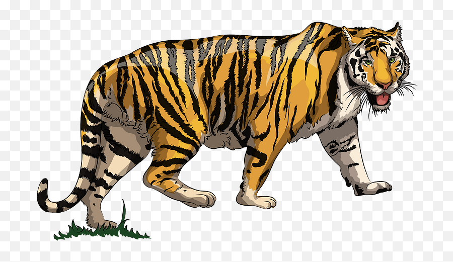 Tiger Clipart - Png Download Full Size Clipart 5500673 Emoji,Cute Tiger Clipart
