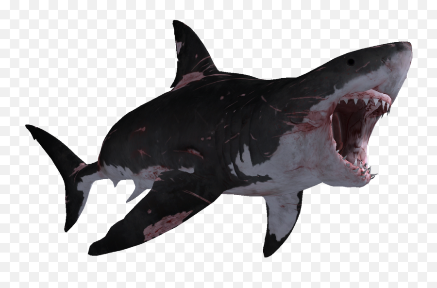 Big Megalodon Shark Transparent - Great White Shark Emoji,Shark Transparent Background