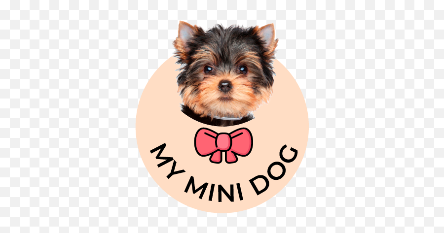 Destaque - Homepage Archives My Mini Dog Emoji,Yorkie Clipart